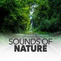 Artwork for Sounds Of Nature by Sounds Of Nature
