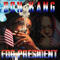 Artwork for Don Kang For President by Don Kang