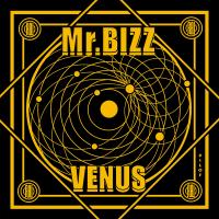 Artwork for Venus by Mr. Bizz