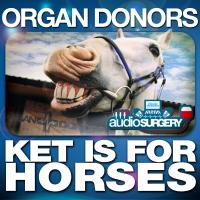 Artwork for Ket Is for Horses (Darren Styles Remix) by Organ Donors