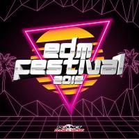 Artwork for EDM Festival 2019 by Various Artists