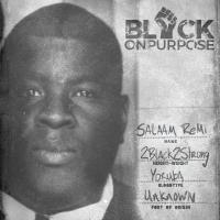 Artwork for Black On Purpose by Salaam Remi