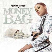 Artwork for Money Bag by Plane Jane