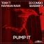 Artwork for Pump It (Extended Mix)