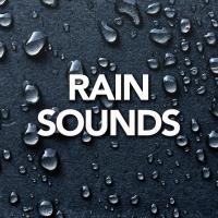 Artwork for Rain Sounds by Rain For Deep Sleep