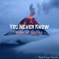 Artwork for You Never Know by Lukado