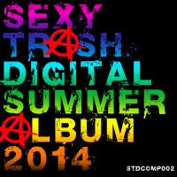 Artwork for STD Summer Album 2014 by Various Artists