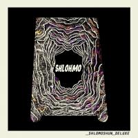 Artwork for Shlomoshun Deluxe by Shlohmo