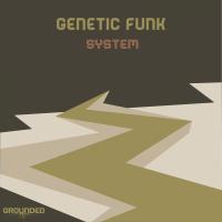 Artwork for System by Genetic Funk