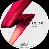 Artwork for Fantasizing EP by Dani Pana