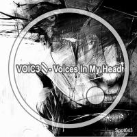 VOIC3S
