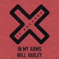 Artwork for In My Arms by Will Varley