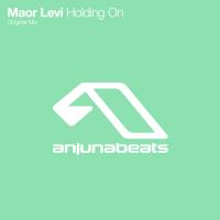 Artwork for Holding On by Maor Levi