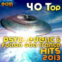 Artwork for 40 Top Psychedelic & Fullon Goa Trance Hits 2013 (Best of Hard Dance, Acid Techno, Power Trance) by Various Artists