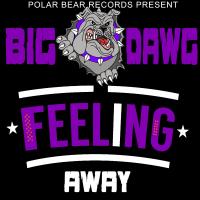 Artwork for Feeling Away by Big Dawg