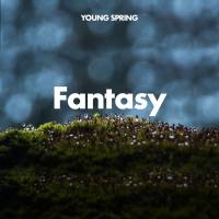 Artwork for Fantasy by Rain Sounds