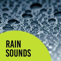 Artwork for Rain Sounds by Rain Recorders