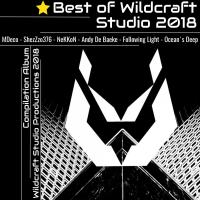 Artwork for Best of Wildcraft by Various Artists