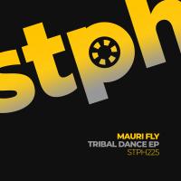 Artwork for Tribal Dance EP by Mauri Fly