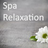 Artwork for Spa Relaxation by Massage Tribe