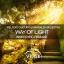 Artwork for Way Of Light (InnerSync Remake)