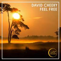 Artwork for Feel Free by David Cheeky