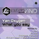 Artwork for What you say (No-K Remix)
