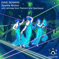 Artwork for Sparkle Motion by Dave Seaman