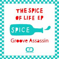 Artwork for The Spice Of Life EP by Groove Assassin