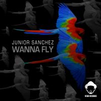 Artwork for Wanna Fly by Junior Sanchez