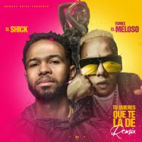 Artwork for Tu Quieres Que Te La De (Remix) by El Shick