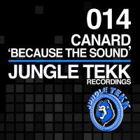 Artwork for Because The Sound by Canard