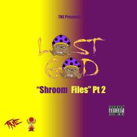 Artwork for Shroom Files, Pt. 2 by Lost God