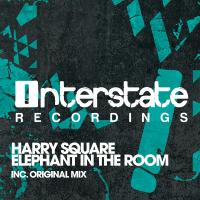 Artwork for Elephant In The Room by Harry Square