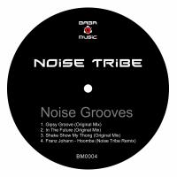 Artwork for Noise Grooves by Noise Tribe