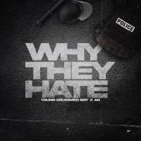 Artwork for Why They Hate by Young Drummer Boy