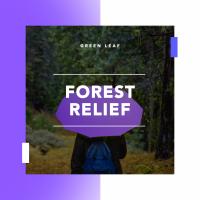 Artwork for Forest Relief by Rain Sounds