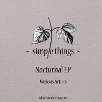 Artwork for Nocturnal EP by Various Artists