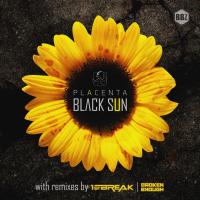 Artwork for Black Sun by The Placenta