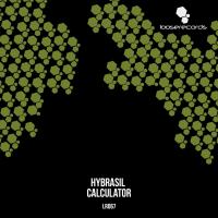 Artwork for Calculator by Hybrasil