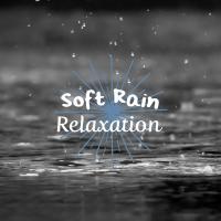 Artwork for Soft Rain Relaxation by Rain Sounds