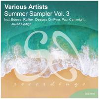 Artwork for Summer Sampler, Vol. 3 by Various Artists
