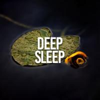 Artwork for Deep Sleep by Nature Sounds Nature Music