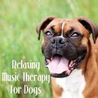 Music for Dog's Ears