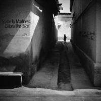 Artwork for Before The Race by Surge In Madness