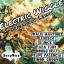 Artwork for Electric Wiggle