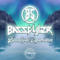 Artwork for Beautiful Experience by Basstyler