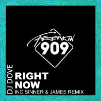 Artwork for Right Now by DJ Dove