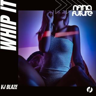 Artwork for Whip It!
