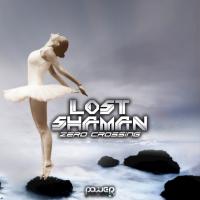 Artwork for Zero Crossing by Lost Shaman